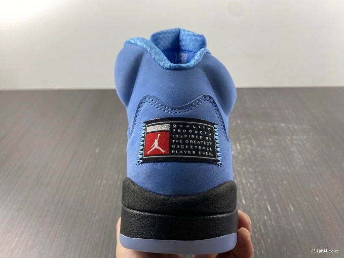 DV1310-401 Jordan 5 Air UNC 1010